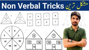 Non-Verbal Intelligence Test (Analogy Test)